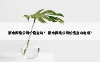 丽水网络公司价格查询？ 丽水网络公司价格查询电话？