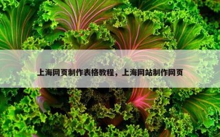上海网页制作表格教程,上海网站制作网页 上海网页制作表格教程,上海网站制作网页