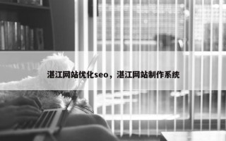 湛江网站优化seo，湛江网站制作系统