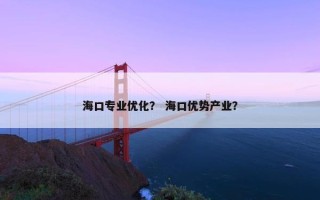海口专业优化？ 海口优势产业？