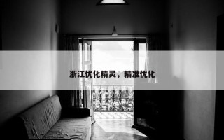 浙江优化精灵，精准优化