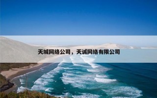 天城网络公司，天诚网络有限公司