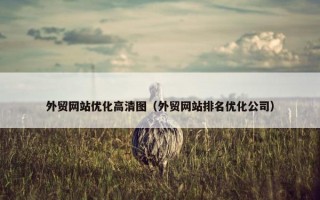 外贸网站优化高清图（外贸网站排名优化公司）