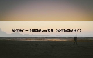 如何推广一个新网站seo专员（如何做网站推广）