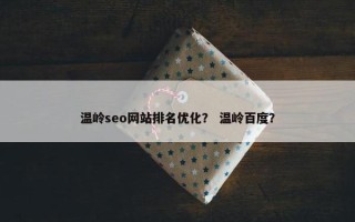 温岭seo网站排名优化？ 温岭百度？
