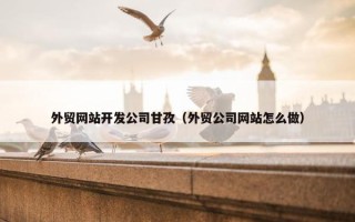 外贸网站开发公司甘孜（外贸公司网站怎么做）