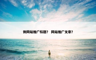 微网站推广标题？ 网站推广文章？