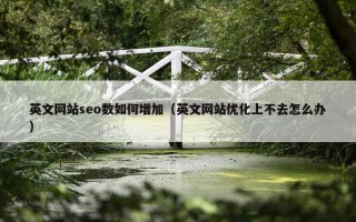 英文网站seo数如何增加（英文网站优化上不去怎么办）