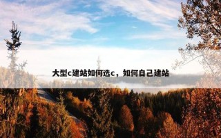 大型c建站如何选c，如何自己建站