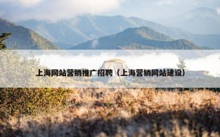 上海网站营销推广招聘（上海营销网站建设）