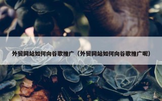 外贸网站如何向谷歌推广（外贸网站如何向谷歌推广呢）