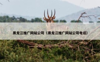 黑龙江推广网站公司（黑龙江推广网站公司电话）