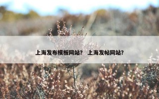 上海发布模板网站？ 上海发帖网站？