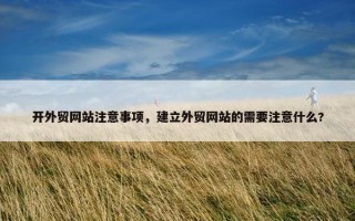 开外贸网站注意事项，建立外贸网站的需要注意什么?
