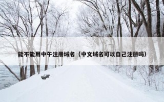能不能用中午注册域名（中文域名可以自己注册吗）