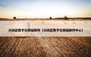 兴庆区数字化网站制作（兴庆区数字化网站制作中心）