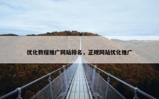 优化教程推广网站排名，正规网站优化推广