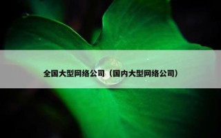 全国大型网络公司（国内大型网络公司）