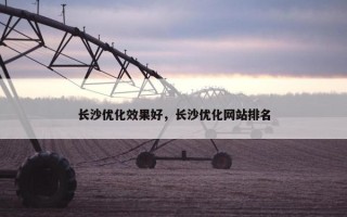 长沙优化效果好，长沙优化网站排名