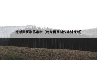 绝杀网页制作素材（绝杀网页制作素材视频）