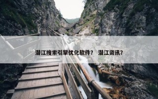 潜江搜索引擎优化软件？ 潜江资讯？