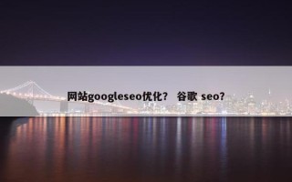 网站googleseo优化？ 谷歌 seo？