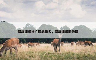 深圳律师推广网站排名，深圳律师服务网