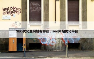 SEO优化查网站有哪些，seo网站优化平台