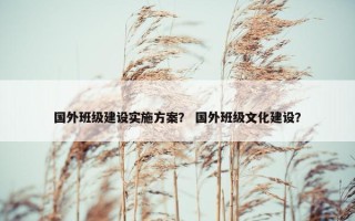 国外班级建设实施方案？ 国外班级文化建设？