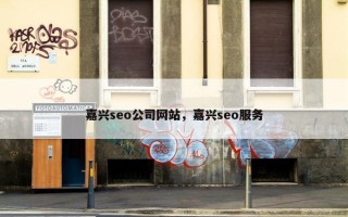 嘉兴seo公司网站，嘉兴seo服务