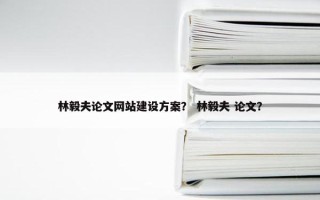 林毅夫论文网站建设方案？ 林毅夫 论文？