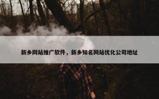 新乡网站推广软件，新乡知名网站优化公司地址