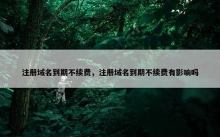 注册域名到期不续费，注册域名到期不续费有影响吗