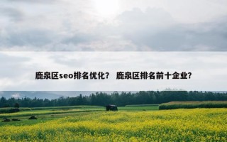 鹿泉区seo排名优化？ 鹿泉区排名前十企业？