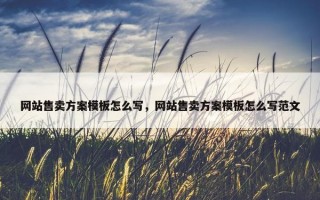 网站售卖方案模板怎么写，网站售卖方案模板怎么写范文