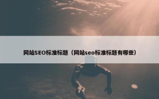网站SEO标准标题（网站seo标准标题有哪些）