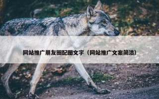 网站推广朋友圈配图文字（网站推广文案简洁）