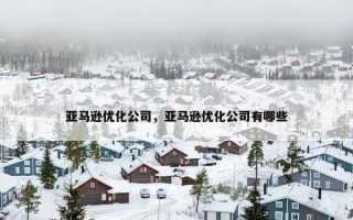 亚马逊优化公司，亚马逊优化公司有哪些