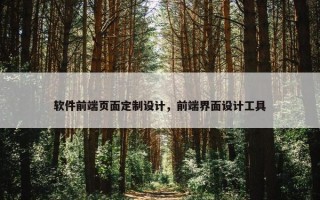 软件前端页面定制设计，前端界面设计工具