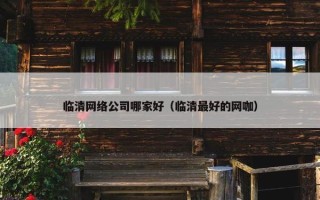 临清网络公司哪家好（临清最好的网咖）