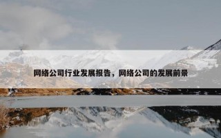 网络公司行业发展报告，网络公司的发展前景