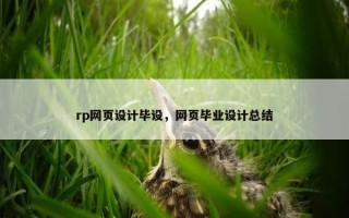 rp网页设计毕设，网页毕业设计总结