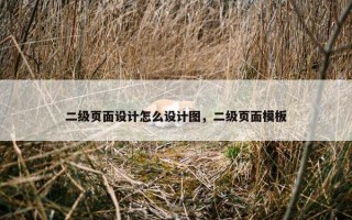 二级页面设计怎么设计图，二级页面模板