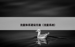 流量体系建设方案（流量系统）