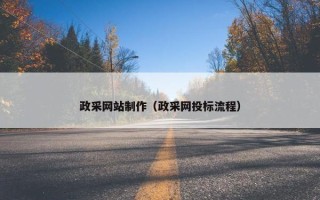 政采网站制作（政采网投标流程）