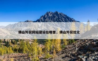佛山外贸网站建设在哪里，佛山外贸优化