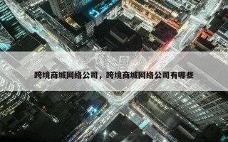 跨境商城网络公司，跨境商城网络公司有哪些