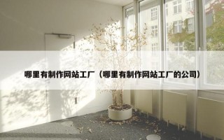 哪里有制作网站工厂（哪里有制作网站工厂的公司）