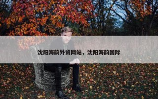 沈阳海韵外贸网站，沈阳海韵国际