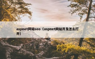 aspnet网站seo（aspnet网站开发怎么打开）